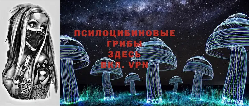 Галлюциногенные грибы Psilocybe  Валдай 